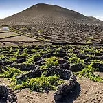 Casa Mic&ele Apartmán Playa Blanca (Lanzarote)